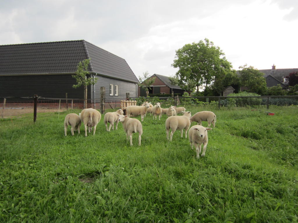 Recreatieboerderij 'T Schutje Acomodação com café da manhã Soerendonk Exterior foto